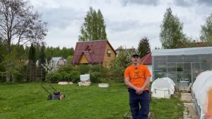 Как избавиться от хруща, проволочника колорадского жука