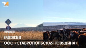 Видеоотзыв «Ставропольская говядина» | Часть 2