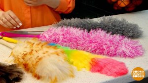 Метелочка против пыли: кто кого? Доброе утро. Фрагмент выпуска от 19.03.2026