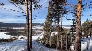 Зимний солнечный денёк