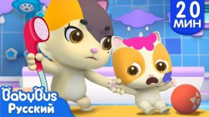 Пора купаться 🛁 | Кошка Мими и Котик Тими | Популярные песенки о детской жизни