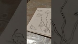 Мои рисунки