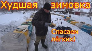 ХУДШАЯ ЗИМОВКА в ШЕСТИРАМОЧНИКАХ! СПАСАЕМ лёгкие СЕМЬИ, даём мёд и канди!