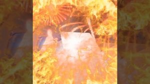 1000052634.mp4 (Собака наблюдает за устройством лестницы на 2-ой этаж в доме А-фрейм)