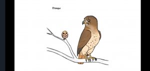 ВАЖНАЯ ИНФОРМАЦИЯ