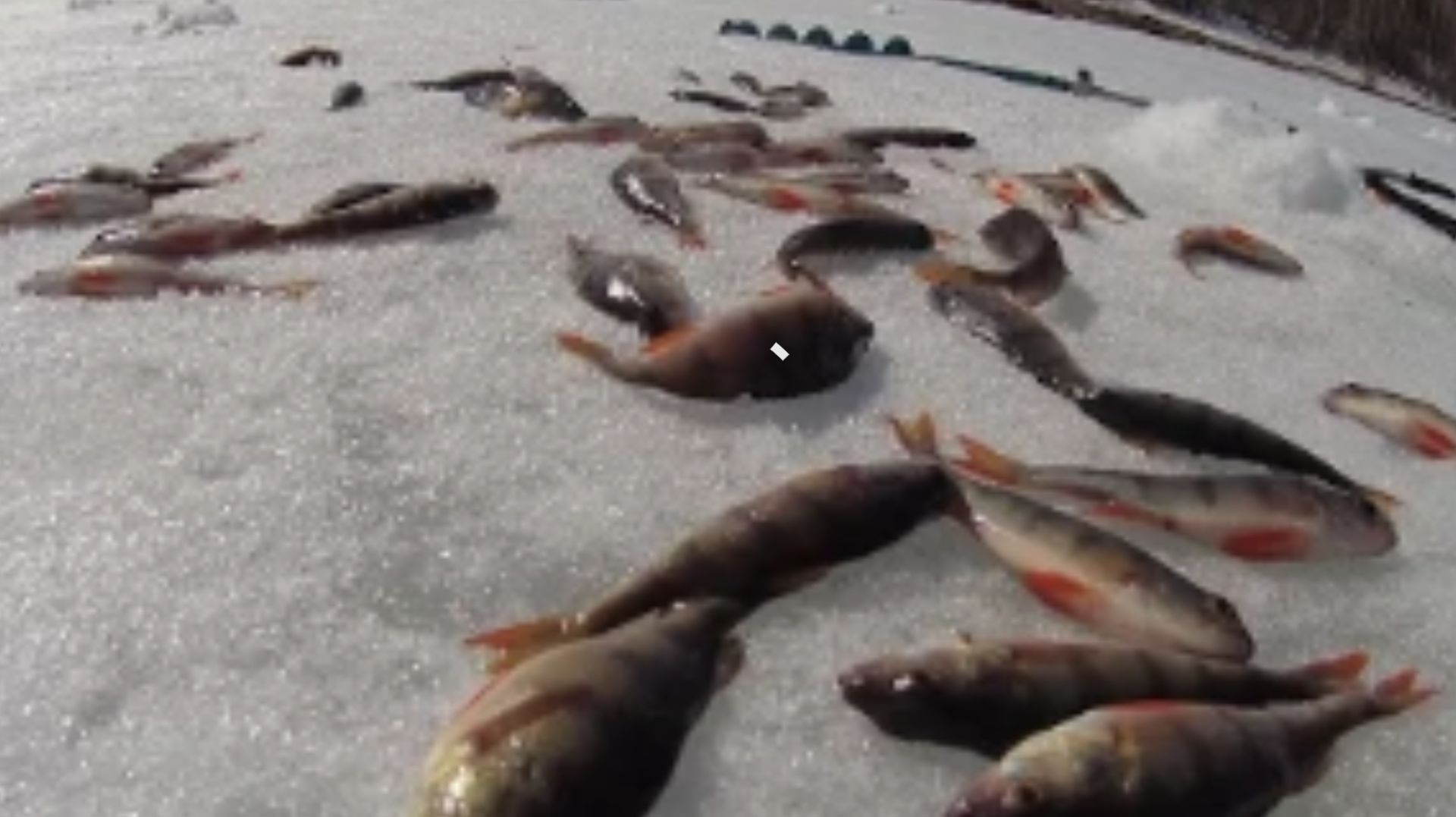 Клёвое озеро