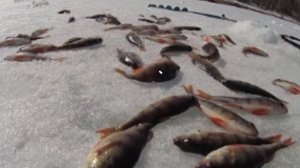 Клёвое озеро