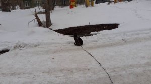 Тишка вышел на улицу.