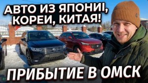 7 кроссоверов на любой вкус! Honda StepWgn и XR-V | VW Tiguan и Tharu | Mazda 3 | Mazda CX-5.