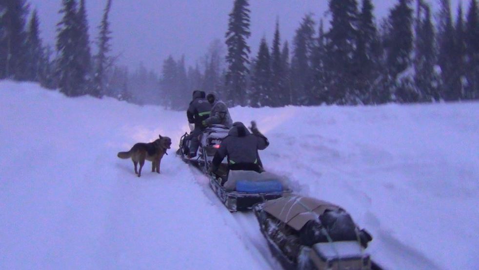СНЕГОХОД по льду не ЕДЕТ Тайга ЛЕСОВОЗНАЯ дорога на зимнюю Рыбалку