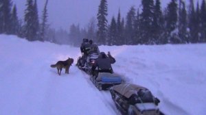 СНЕГОХОД по льду не ЕДЕТ Тайга ЛЕСОВОЗНАЯ дорога зимнюю Рыбалку Снегоход Ski-Doo Skandic SWT 900 ACE