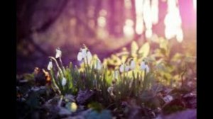 20 марта - День весеннего равноденствия