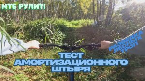 Тест амо подсидела.