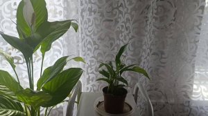 совсем мало вяжу