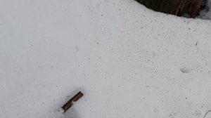 17 марта 2025 год. Прогулка по ручью