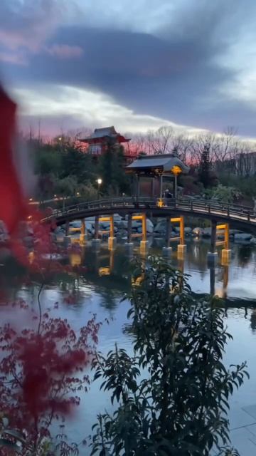 Завораживающая красота японского сада #respect #японскийсад #паркгалицкого #shorts #стадион