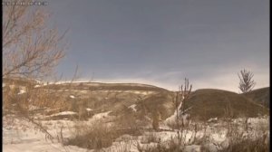 Короче, в мире животных 💙  Мы не смогли пройти мимо этой милоты. Камера в глэмпинге «Холмы» запечат