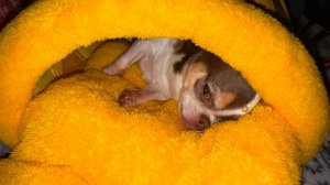 Всем наидобрейшего вечерочка и самой спокойной ночи!