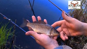 Ловля карася на поплавок