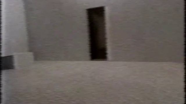 Backrooms 20 - Found footage #3