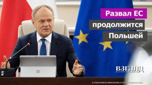 Премьер Польши увидел выход из ЕС. Поляки разочаровались в Европе. Логика жадного гонора