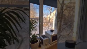 Наш идеальный выходной. Счастье в мелочах