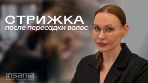 Когда можно стричься после пересадки волос? Полный разбор
