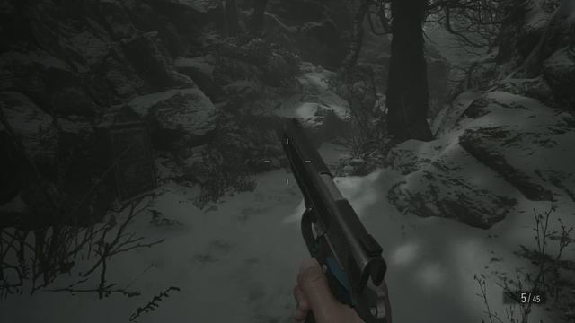 Resident Evil Village 14