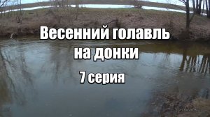 Весенний голавль на донки. 7 серия. Голавль на куриную печень с мешочком.