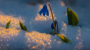 🎼. Giovanni Marradi – «Secrets»