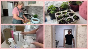 Заказ с WB. Пеларгонии. Пытаюсь шить. Ремонт идёт 😅