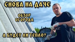 На даче. Обзор огорода. Весь в делах. Холодное лето