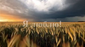 ПРОХОДИТ ЖИЗНЬ...  Легендарный хит Михаила Гулько — Я люблю (ИИ-кавер)