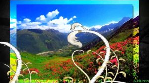 Alexander Karshkov - Straticus