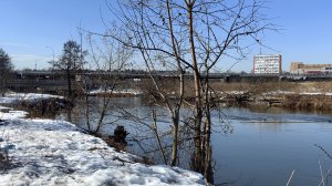 Обстановка на р. Пехорка. пос. Красково..Район Автомобильного моста на Егорьевском шоссе. 19-03-2026
