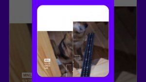 1000052695.mp4 (Собака наблюдает за устройством лестницы на 2-ой этаж в доме А-фрейм)