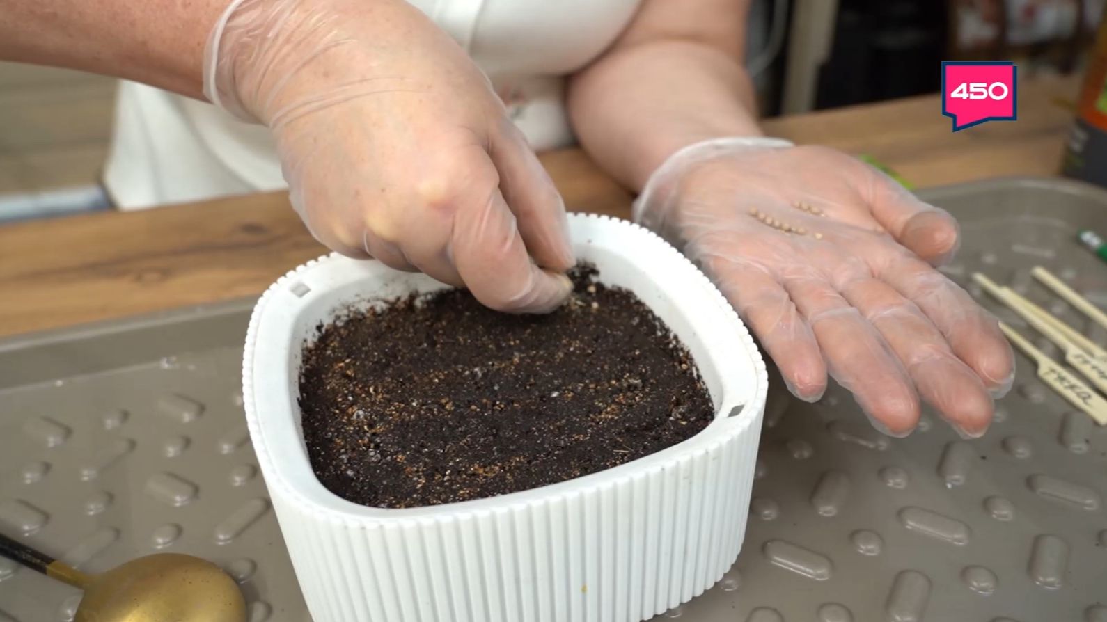 Сеем петунию, салаты и капусту. Дачные сезоны