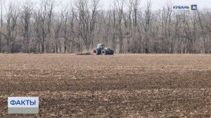 В Краснодарском крае стартовал сев сахарной свеклы