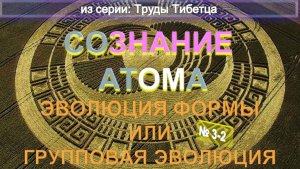 (3-2) ЭВОЛЮЦИЯ ФОРМЫ ИЛИ ГРУППОВАЯ ЭВОЛЮЦИЯ - СОЗНАНИЕ АТОМА -  из Трудов ТИБЕТЦА