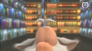 Котик ТВ эфир