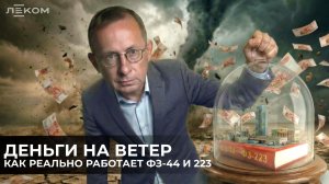 Учимся грамотно применять законы в закупках. Парадоксы ФЗ-44 и ФЗ-223