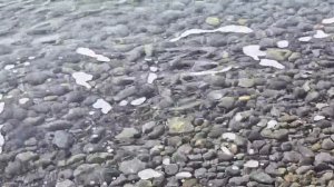 Пляж Сукко 19 марта, плюс 17 воздух. Автор Дмитрий Сорвенков