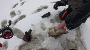 МЕНЯ ТРЯСЕТ от Этой РЫБАЛКИ!Трофейные судаки в каждой лунке Зимняя рыбалка на вибы