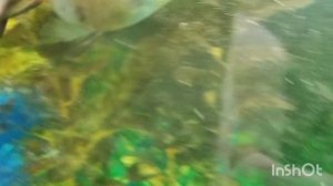 😎топ 3 успокаивающих музыки🤩