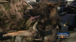 Пригодится в жизни и на службе