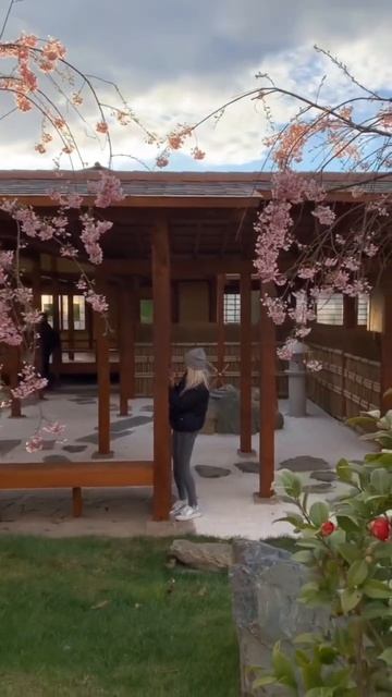 Японский сад #respect #японскийсад #паркгалицкого #shorts