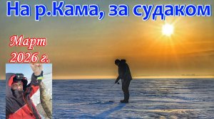 НА КАМУ ЗА СУДАКОМ/ЛОВЛЯ СУДАКА НА ВИБЫ/ЗИМНЯЯ РЫБАЛКА/СУДАК ЗИМОЙ/САКОНЫ, РЕСПУБЛИКА ТАТАРСТАН