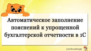 Автоматическое заполнение пояснений к упрощенной бухгалтерской отчетности в 1С Бухгалтерии