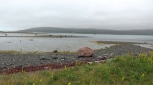 Полуостров Рыбачий часть 4 Турбаза Большое Озерко