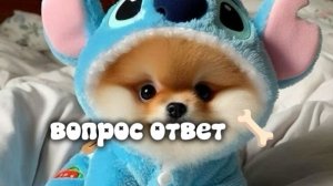 вопрос ответ 🦴